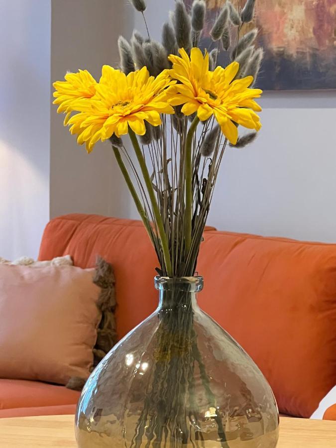 Wonderful Apartment In The Heart Of Valence Extérieur photo